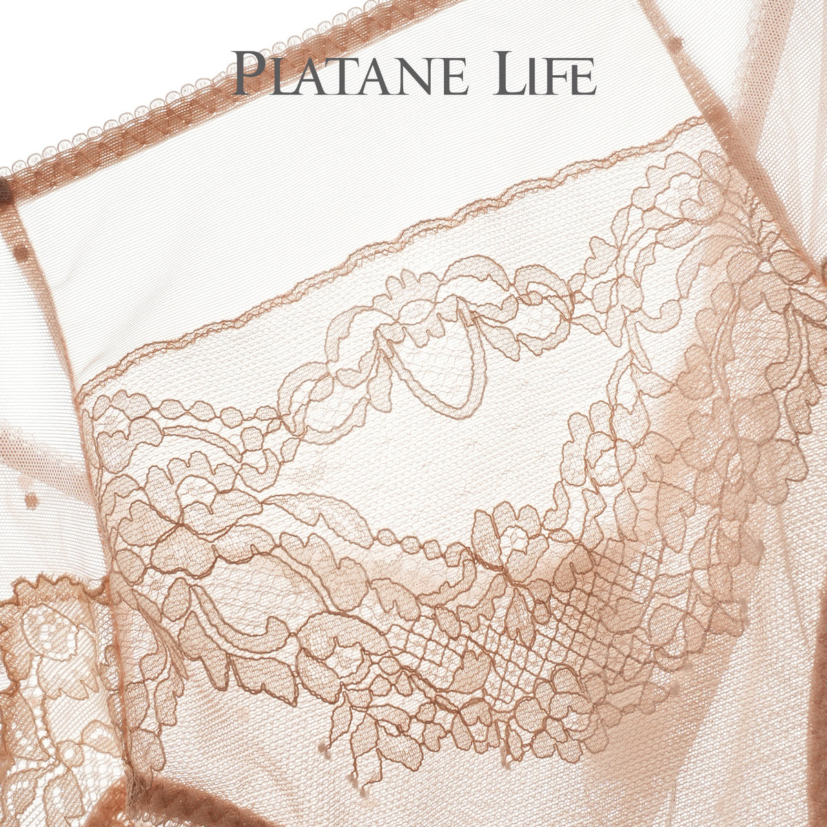 Women's Mid-Rise French Lace Boyshort