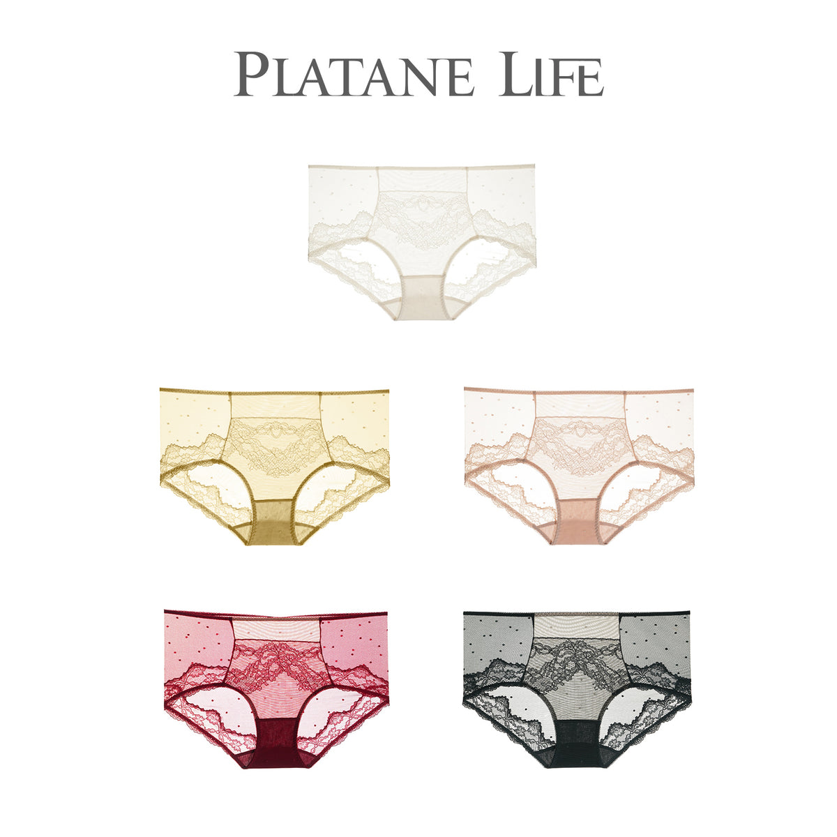 Women's Mid-Rise French Lace Boyshort