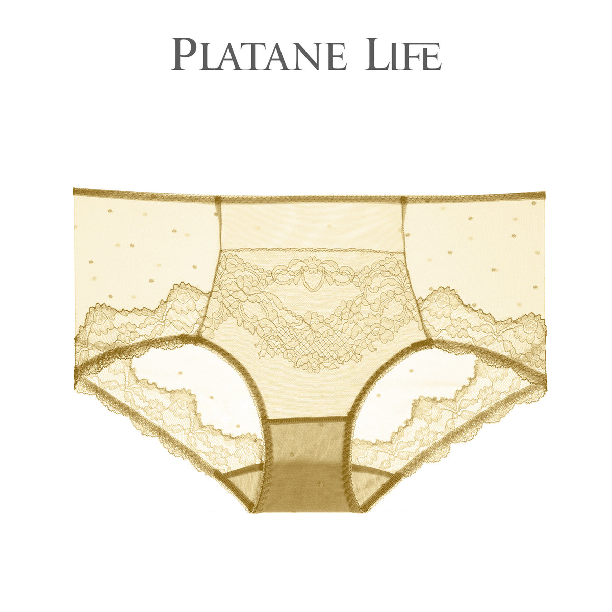 Women's Mid-Rise French Lace Boyshort