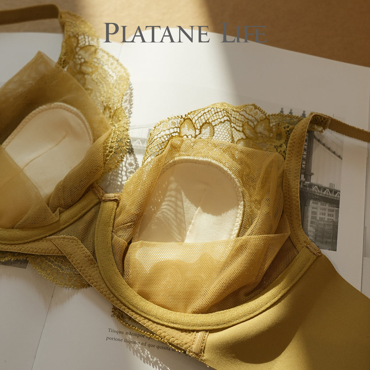 Ultra-Thin Crystal Cup Soft Underwire Bra